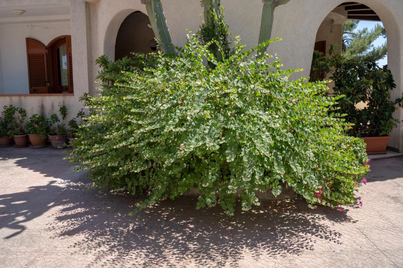 Terrazza Sul Plemmirio Bed & Breakfast Syracuse Exterior foto